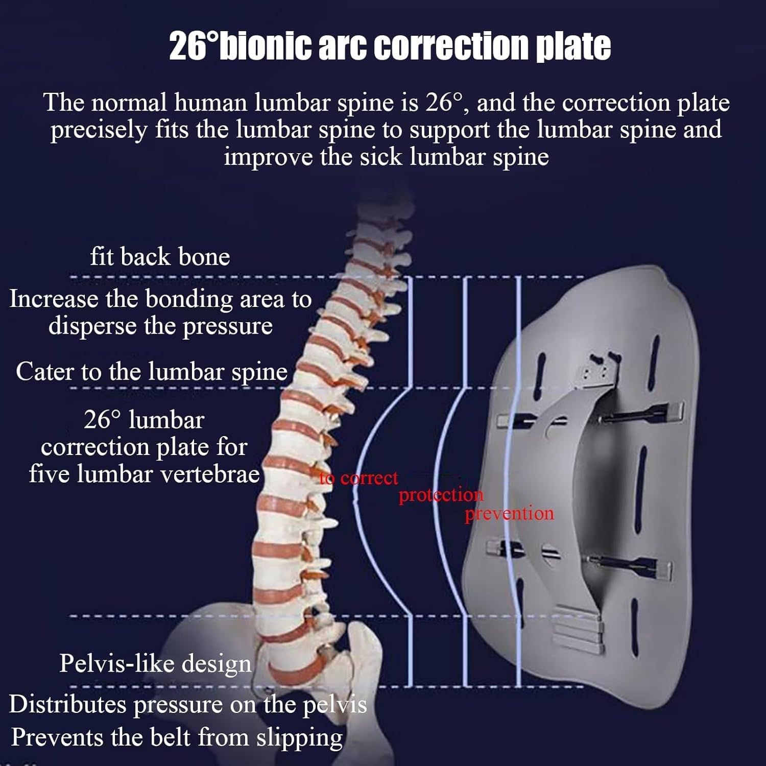 Adjustable Lumbar Belt with Breathable Pad